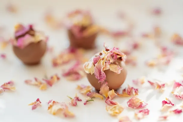 LottoKings Kasino Android/iOS aplikace